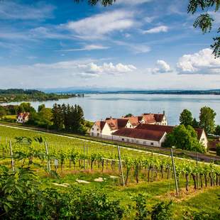 Torkelreise am Bodensee