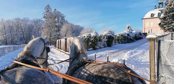 Weihnachtsfeier Moritzburg mit Kutschfahrt