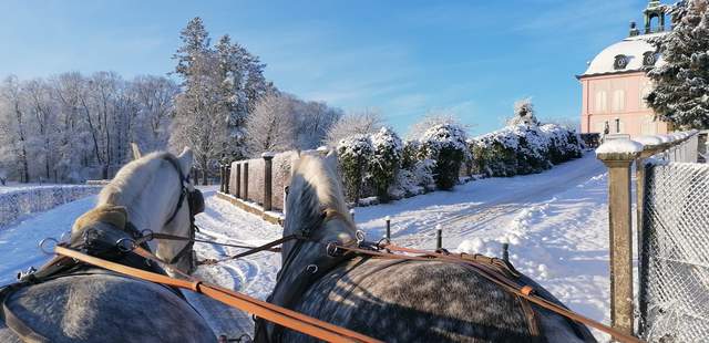 Weihnachtsfeier Moritzburg mit Kutschfahrt
