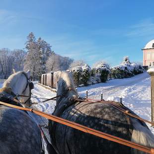 Weihnachtsfeier Moritzburg mit Kutschfahrt