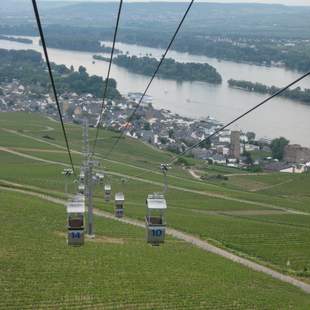 Betriebsausflug nach Rüdesheim am Rhein