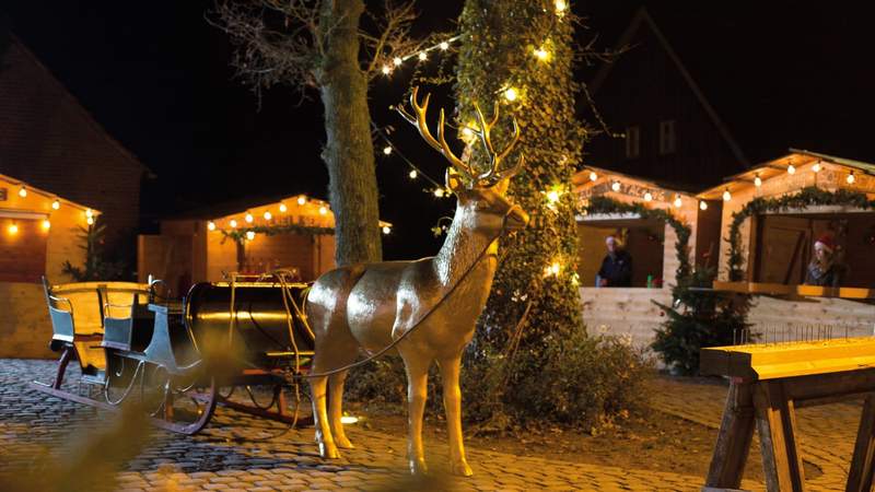 Gruppentour zum Beverländer Weihnachtsmarkt