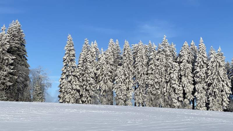 Aussicht in die weiße Pracht