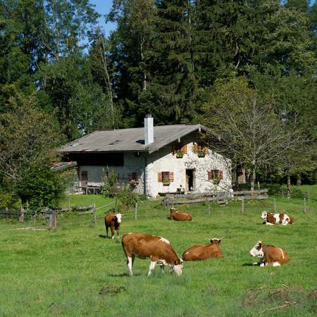 Schnupperklettern auf der Alm