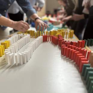 Team Domino
