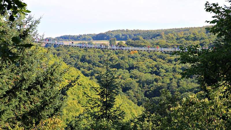 Brücke & Bogen: Hängebrücke & Bogenschiessen