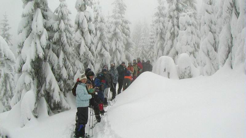 Zipflbob-Schneeschuhtour in Niederbayern