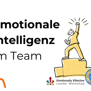 Banner Seminar Team Emotionale Intelligenz im Team: EQ-i Seminar
