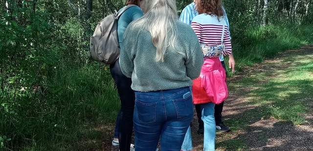 Raus aus dem Büro - rein ins Grüne! Outdoor Teambuilding & Teamworkshop in Hamburg und Umgebung