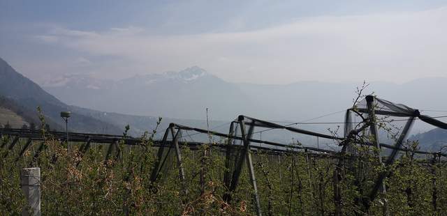 Besonderer Ausblick während der Challenge Winzer Challenge