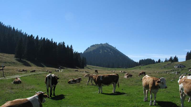 Der Bauern-Crashkurs