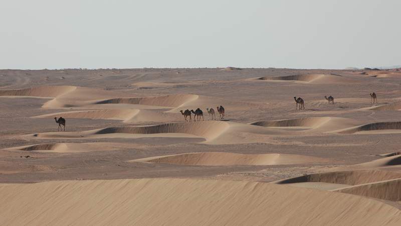 Abu Dhabi - zwischen Kultur und Sport
