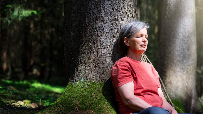 Waldbaden - Team SEIN in der Natur