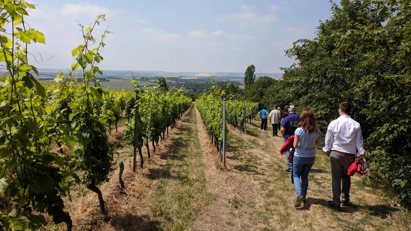 VinoVia WeinWanderreisen