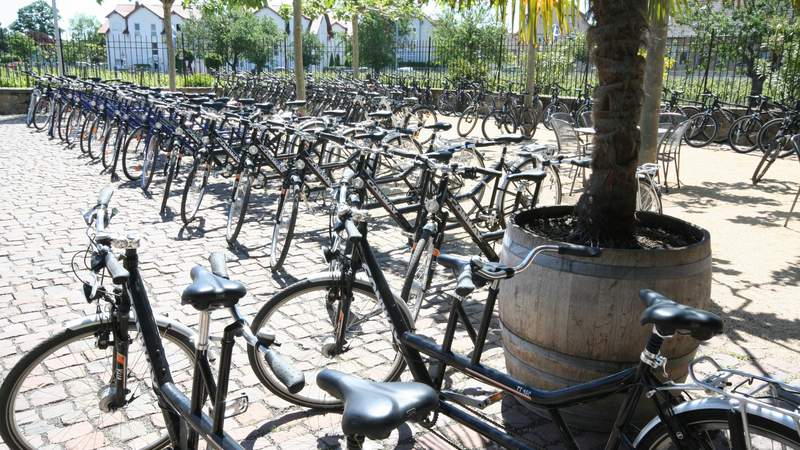 Wein & Bike | Fahrradreisen mit Wein & Genuss
