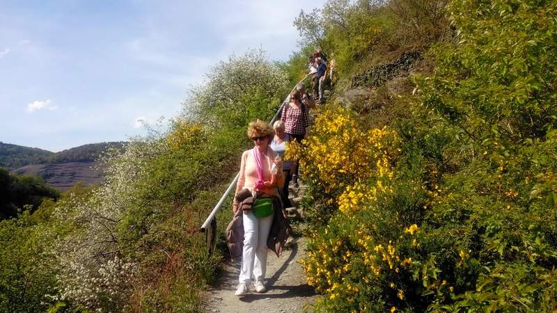 “Wein & Wandern” im Ahrtal