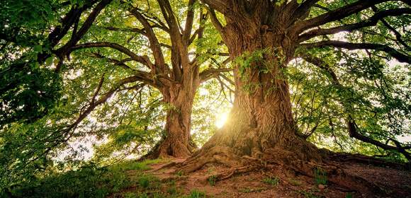 Natur-Aktiv Woche im Thüringer Wald