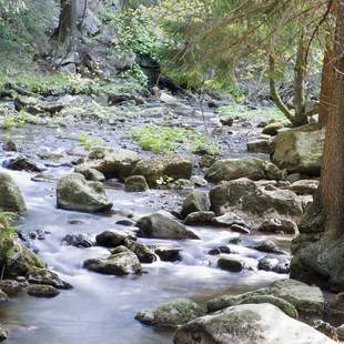 Firmenreise nach Goslar