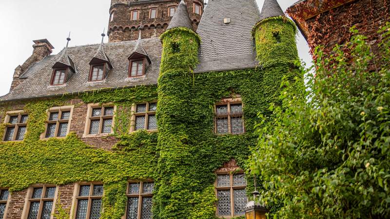 Burg, Wein & Genuss: Cochem erleben