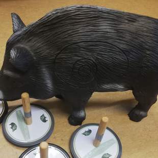 Wildschweincurling auf Schloss Schweinsburg