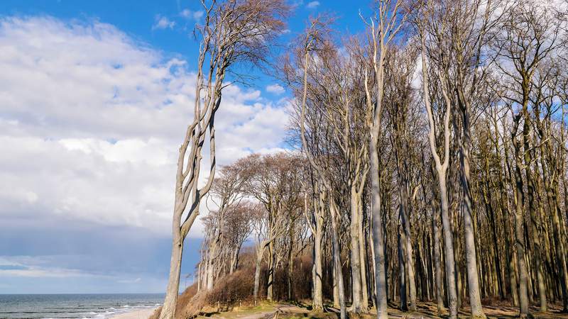 Unterwegs an der Ostseeküste