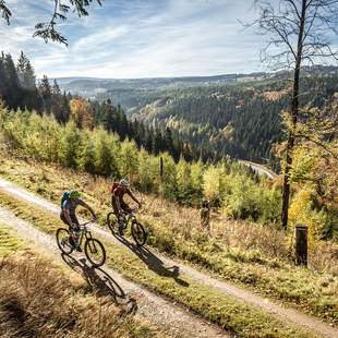 Trendsport Mountainbiken