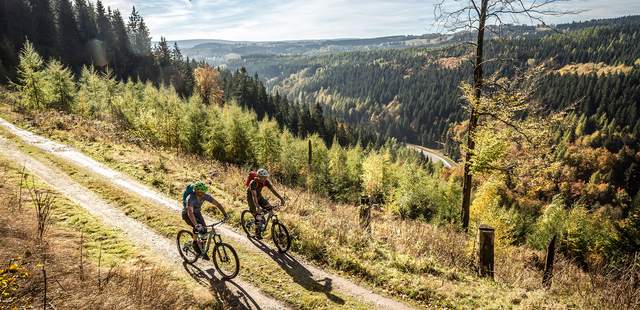Trendsport Mountainbiken