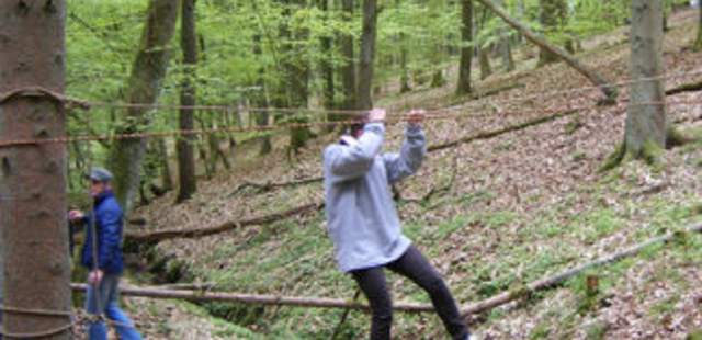 Erlebnis Weihnachtswald