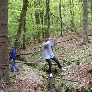 Erlebnis Weihnachtswald