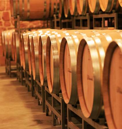 Weinkeller-Barrique -Fässer Wein- & Sektkellerführung