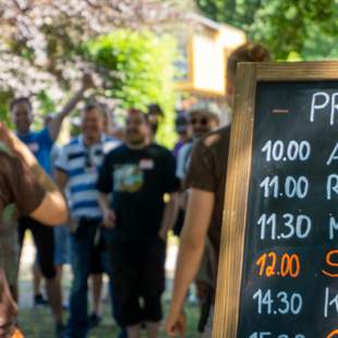 Team Event Offline, nature walk, micro habits