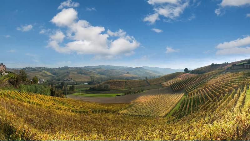 Trüffel- und Weintour im Piemont