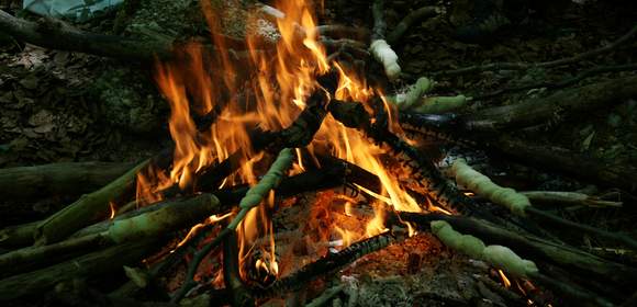 Wildnistraining – Teambuilding in der Natur