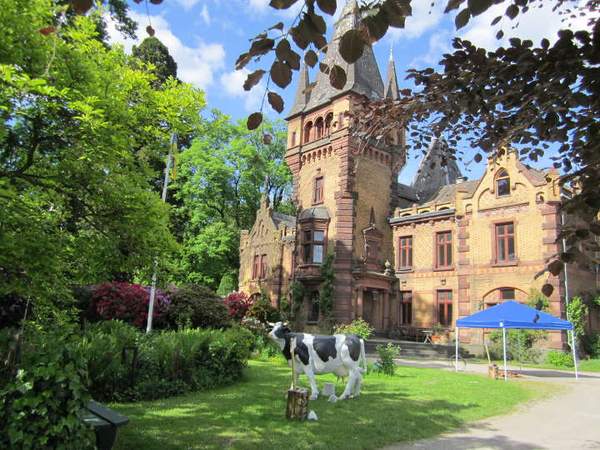 Bauernhof Land Teambuilding Rallye