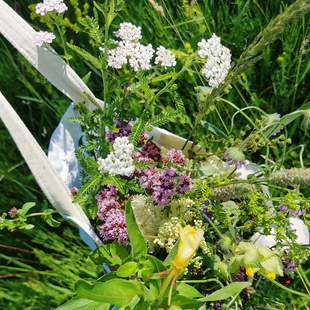 Wildpflanzen Spaziergang mit Picknick