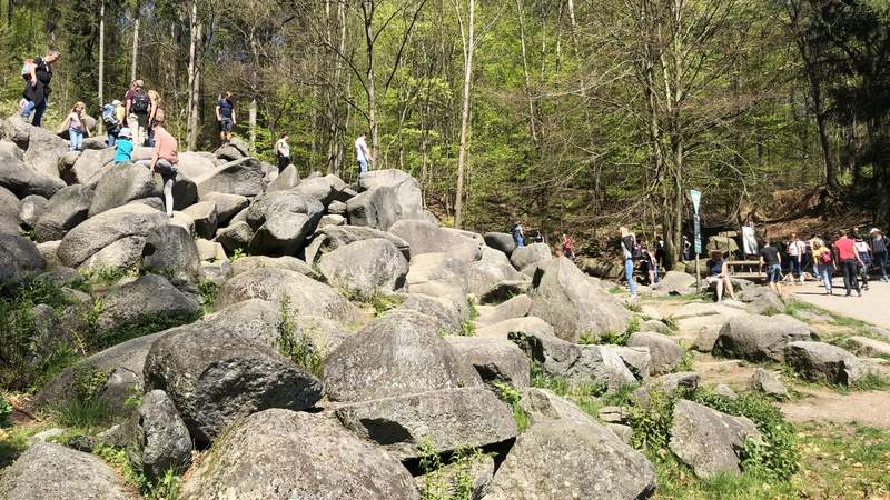 Felsenmeer Expedition im Odenwald