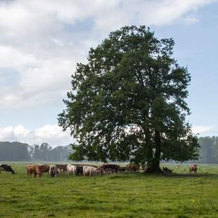 Landwirtschaft Firmenevent