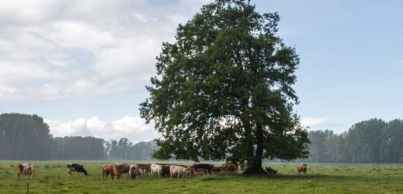 Landwirtschaft Firmenevent