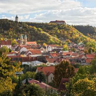 Blick auf Weinberger