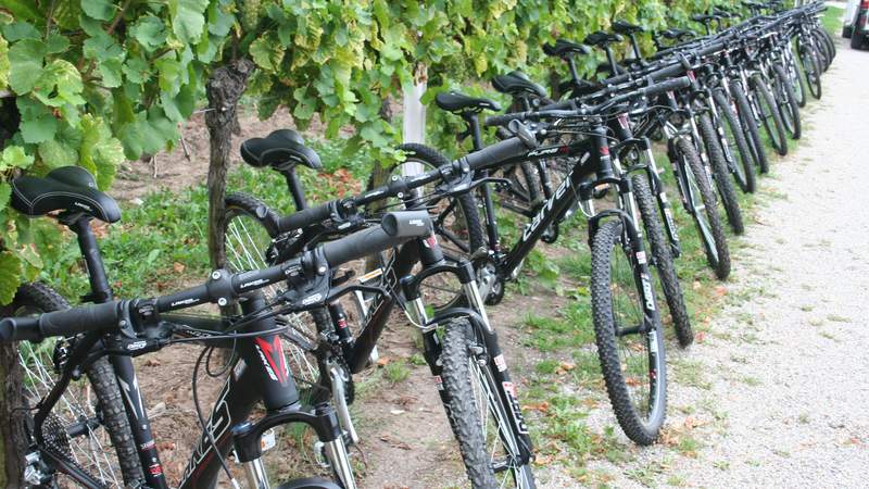 Wein & Bike | Fahrradreisen mit Wein & Genuss