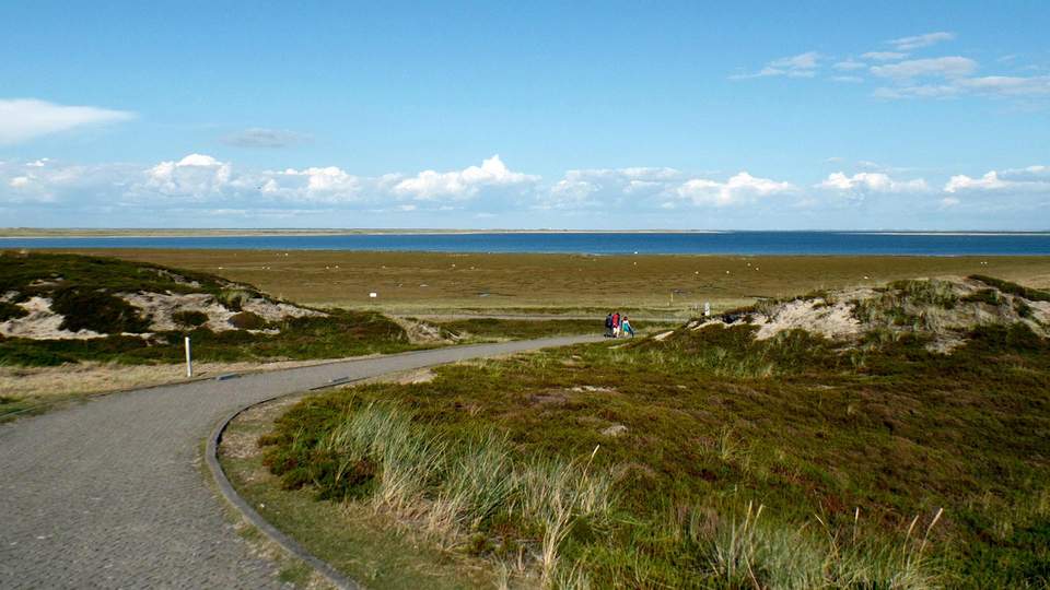 Gruppenreise Betriebsausflug Teambuilding Sylt