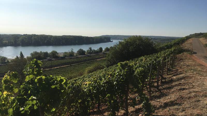 Bootstour, Barbecue & Bash in Rheinhessen