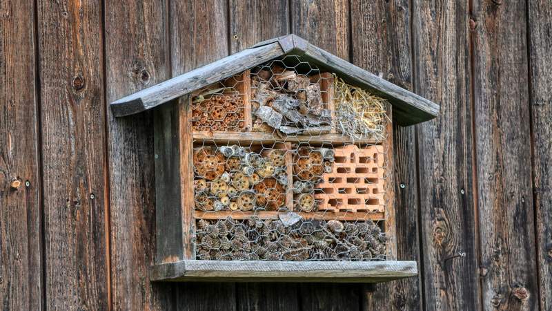 Bau eines Wildbienenhotels