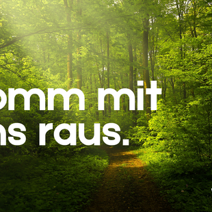 Waldsamkeit