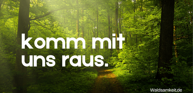 Waldsamkeit Waldsamkeit