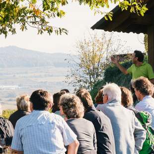 GPS Weinwanderung mit Winzervesper