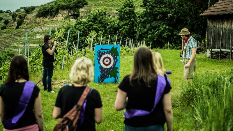 Weinsafari durch Stuttgarts Steinhalde