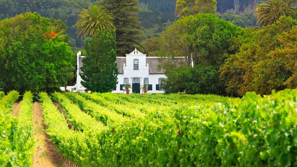 Cape Winelands