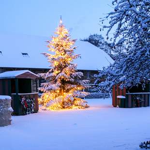 Weihnachtsmarkt am Linslerhof