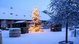 Weihnachtsmarkt am Linslerhof